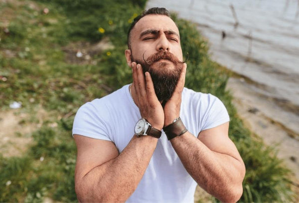 beard softer blog post